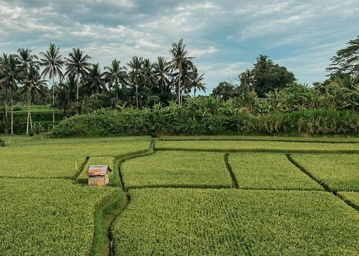 Om Ham Retreat And Ubud